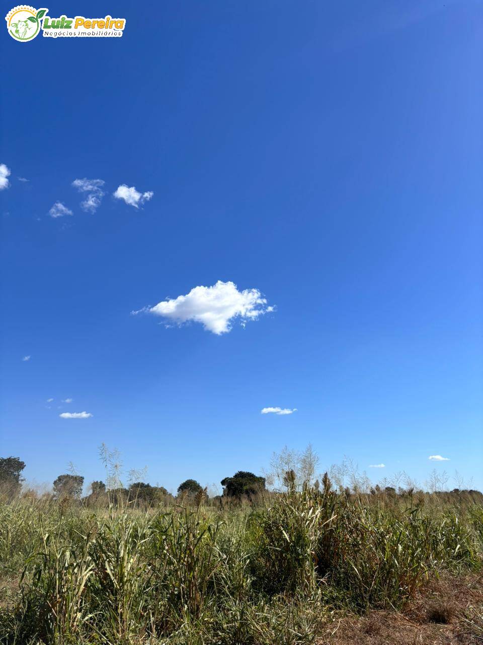 Terreno, 4300 m² - Foto 11