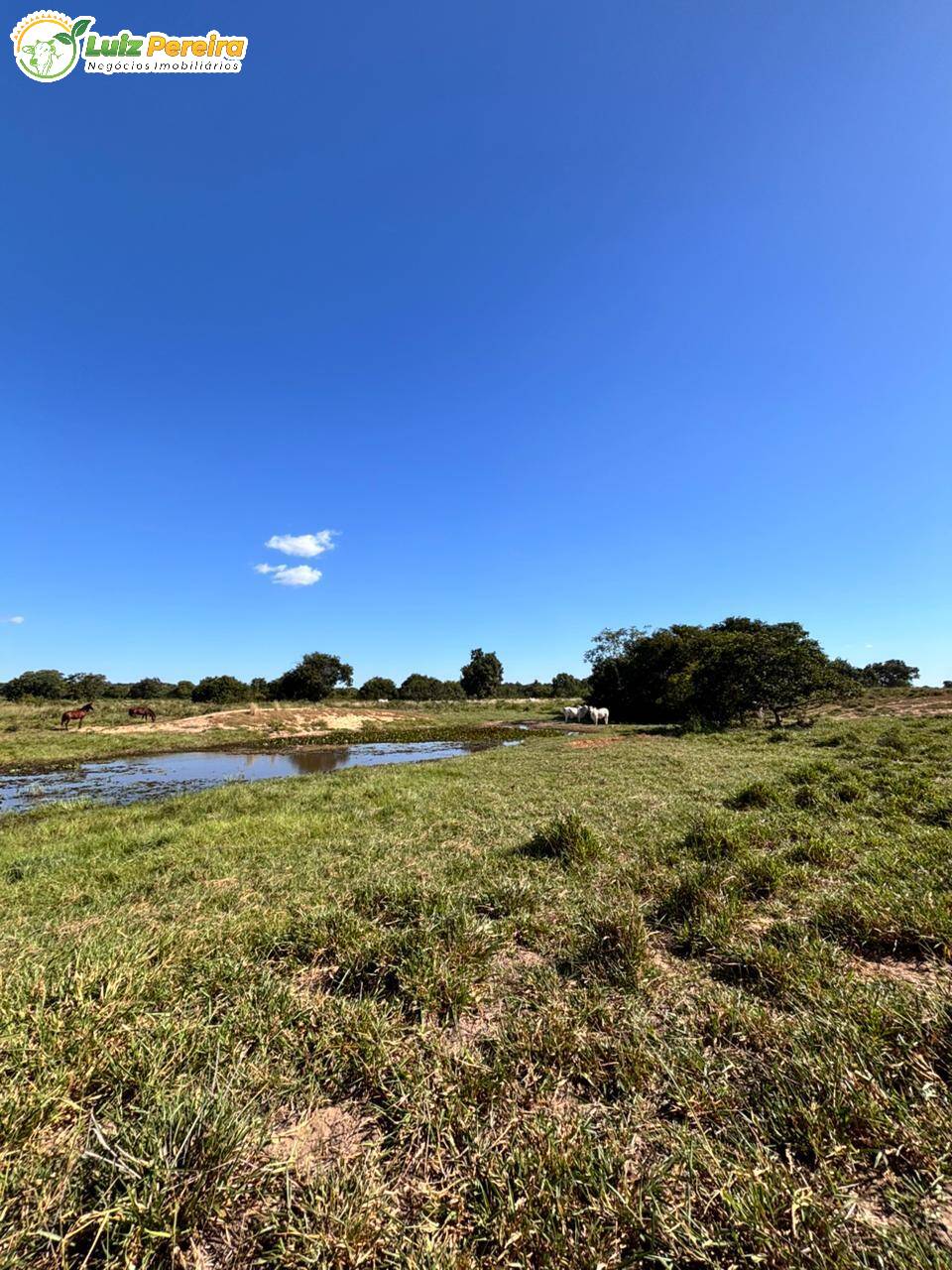 Terreno, 4300 m² - Foto 7