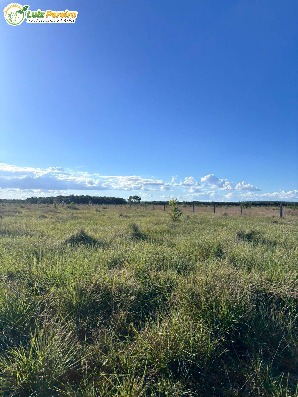 Terreno, 4300 m² - Foto 8