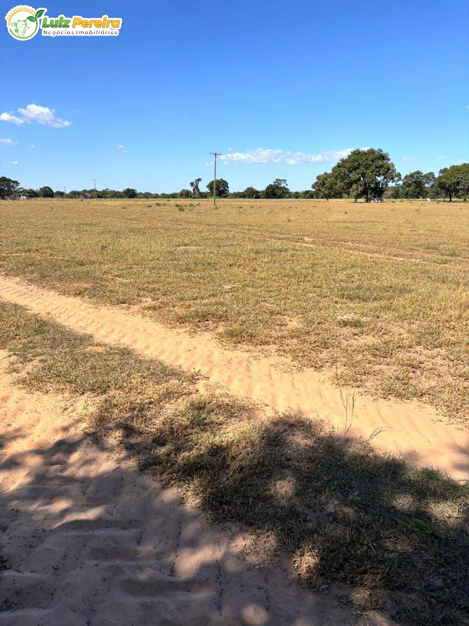 Terreno, 4300 m² - Foto 12