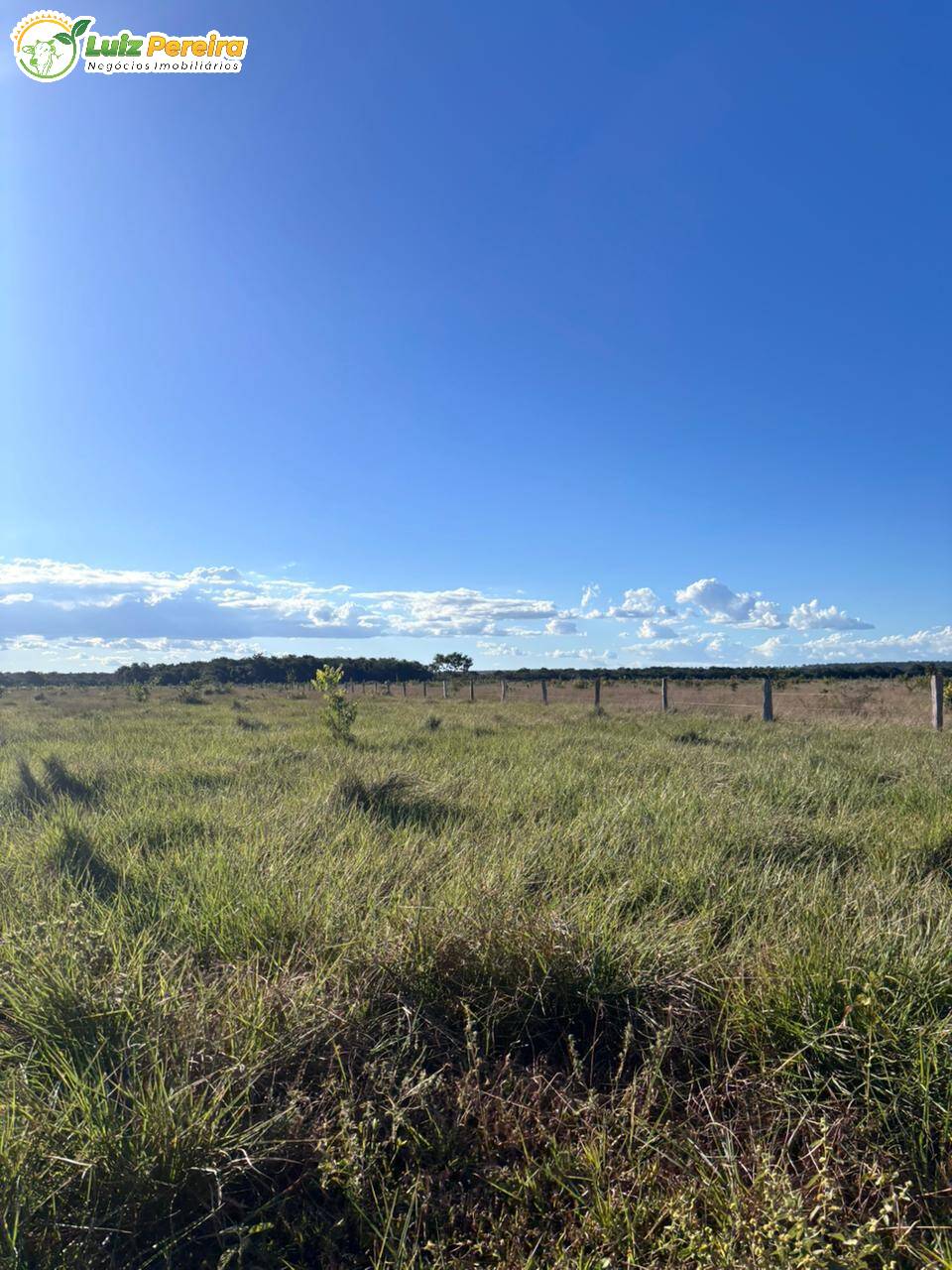 Terreno, 4300 m² - Foto 9