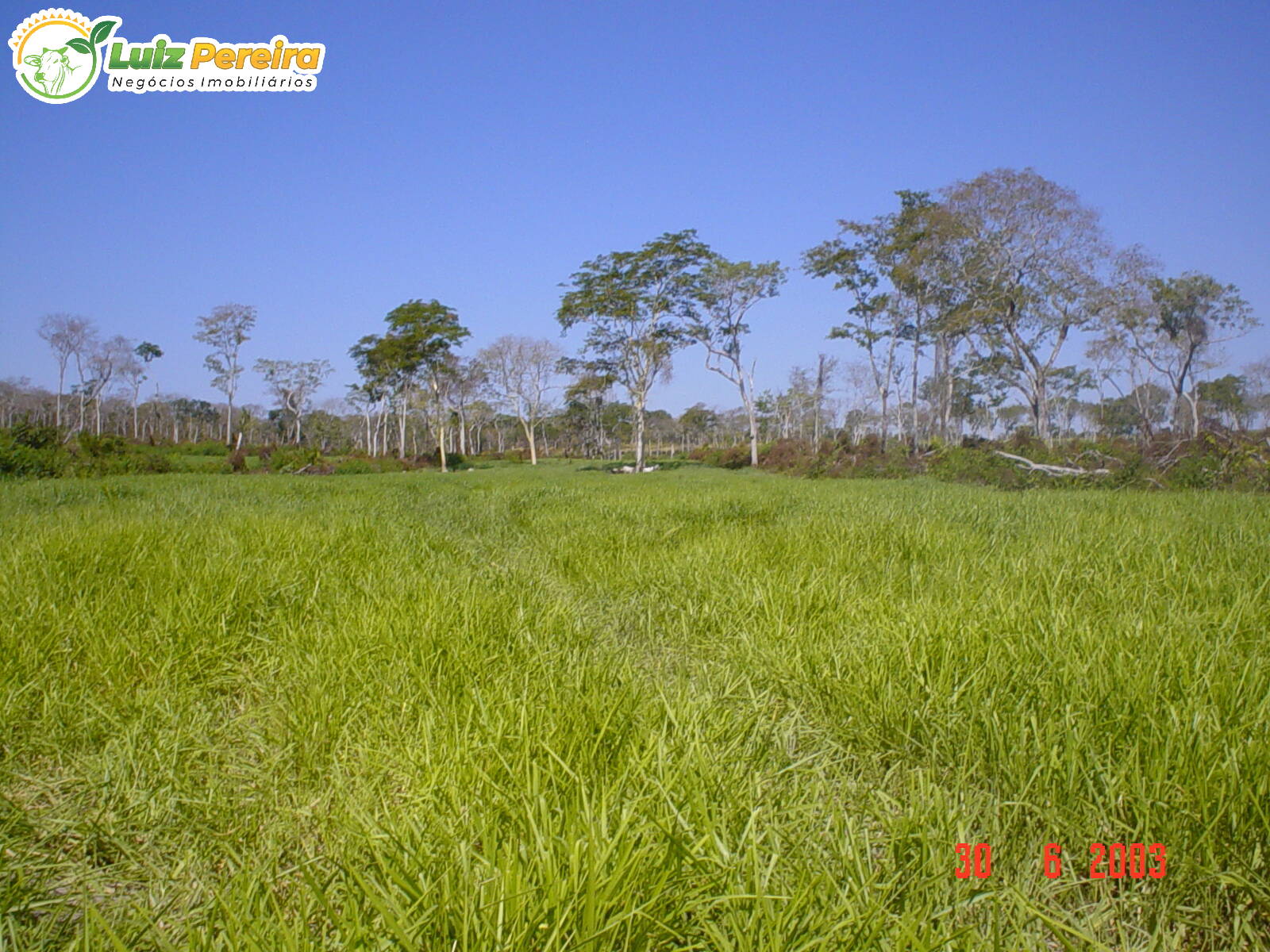 Terreno, 3448 m² - Foto 8