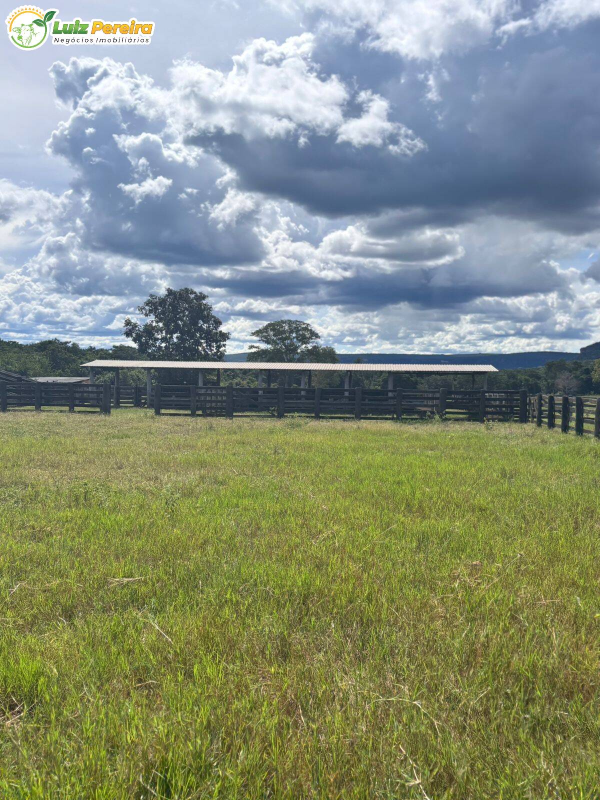 Terreno, 5000 m² - Foto 5