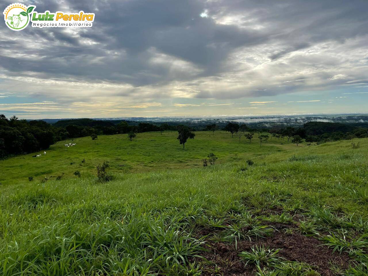 Terreno, 299 m² - Foto 25