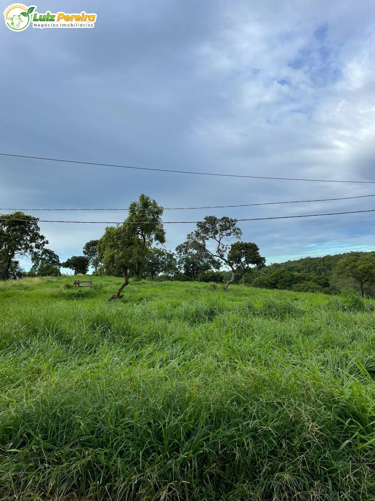Terreno, 299 m² - Foto 5