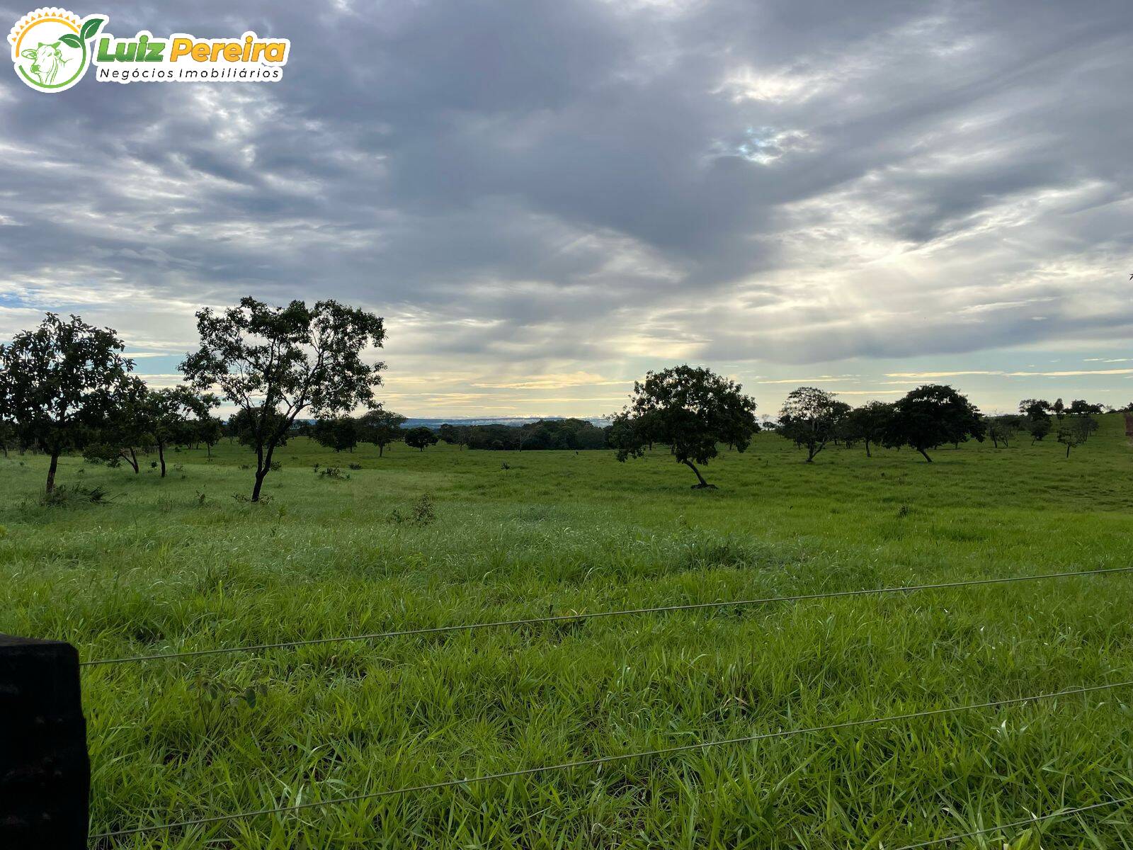 Terreno, 299 m² - Foto 6