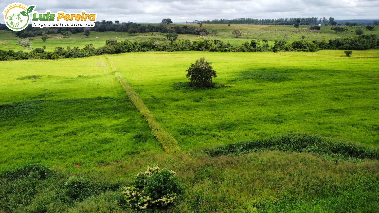 Terreno, 1258 m² - Foto 10