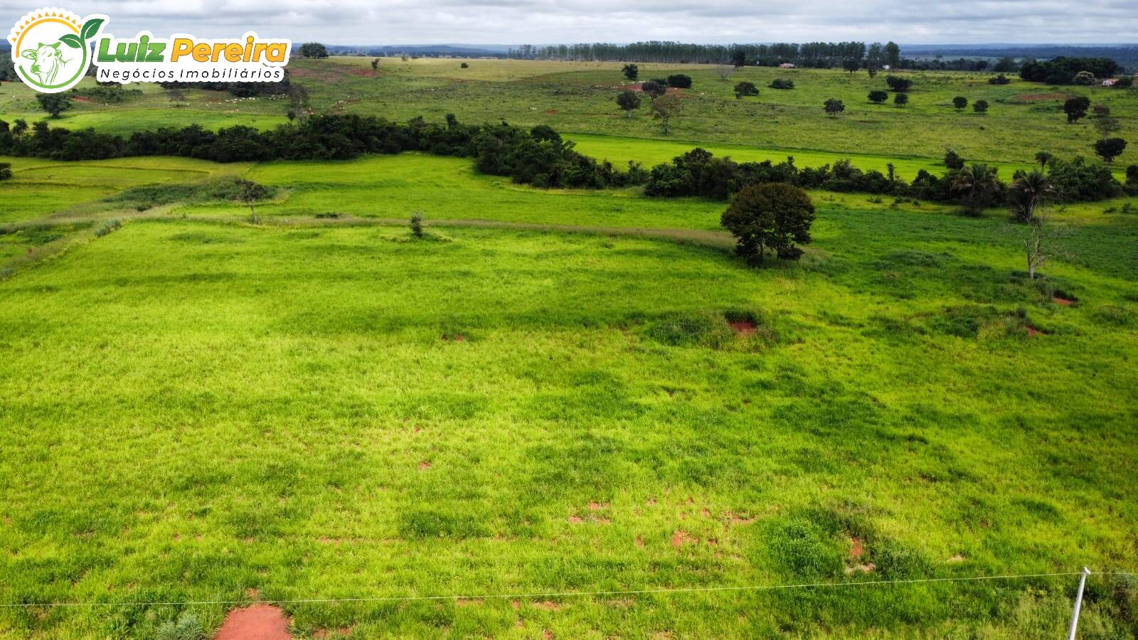 Terreno, 1258 m² - Foto 3