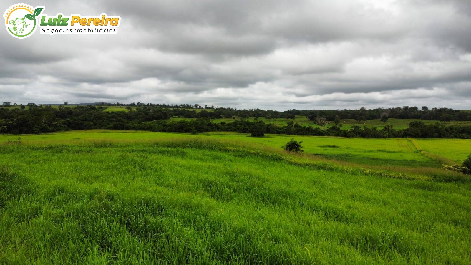 Terreno, 1258 m² - Foto 4