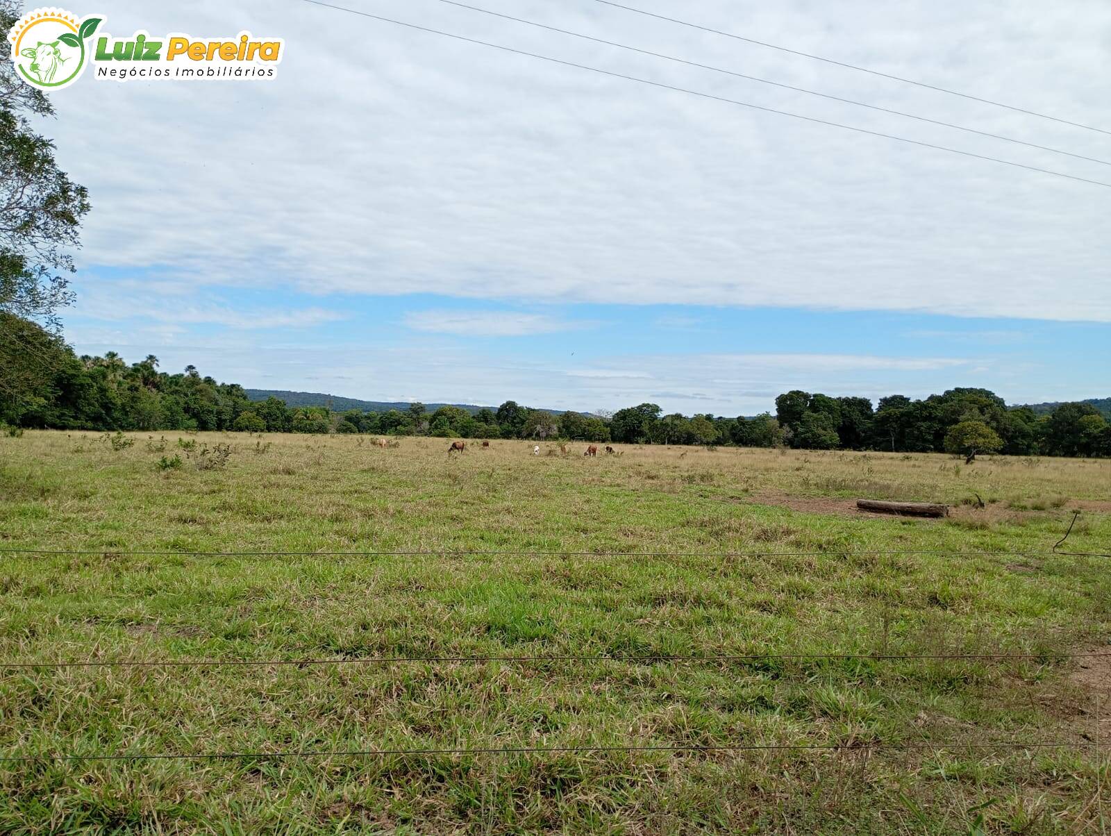 Terreno, 280 m² - Foto 8