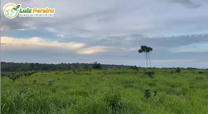 Terreno, 348 m² - Foto 9