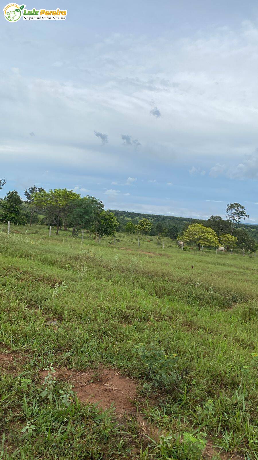 Terreno, 386 m² - Foto 4