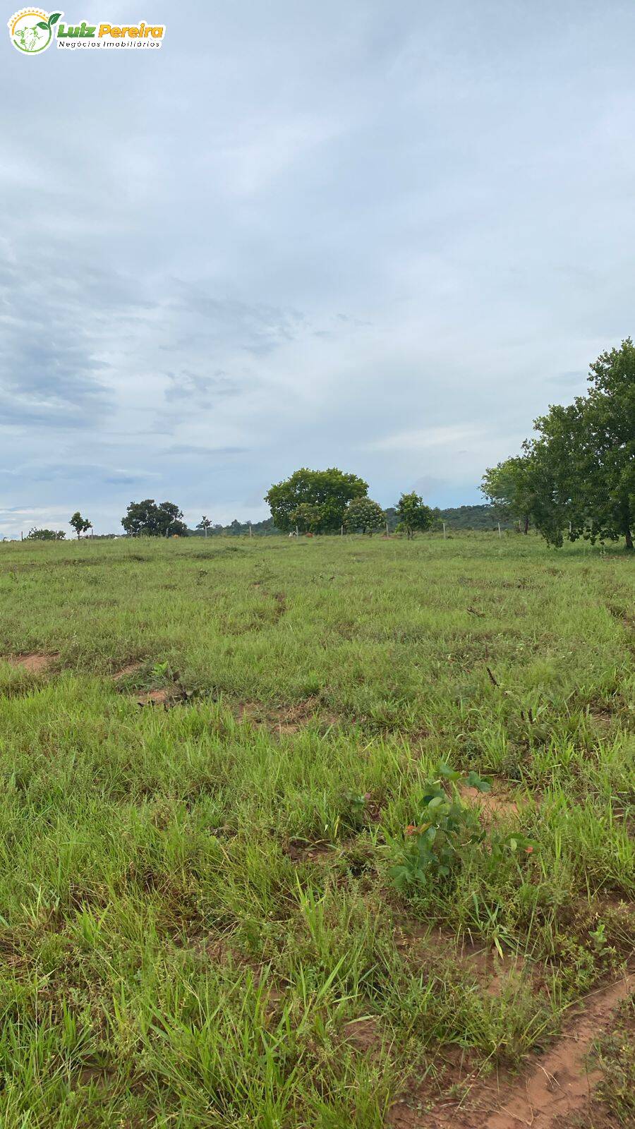 Terreno, 386 m² - Foto 6