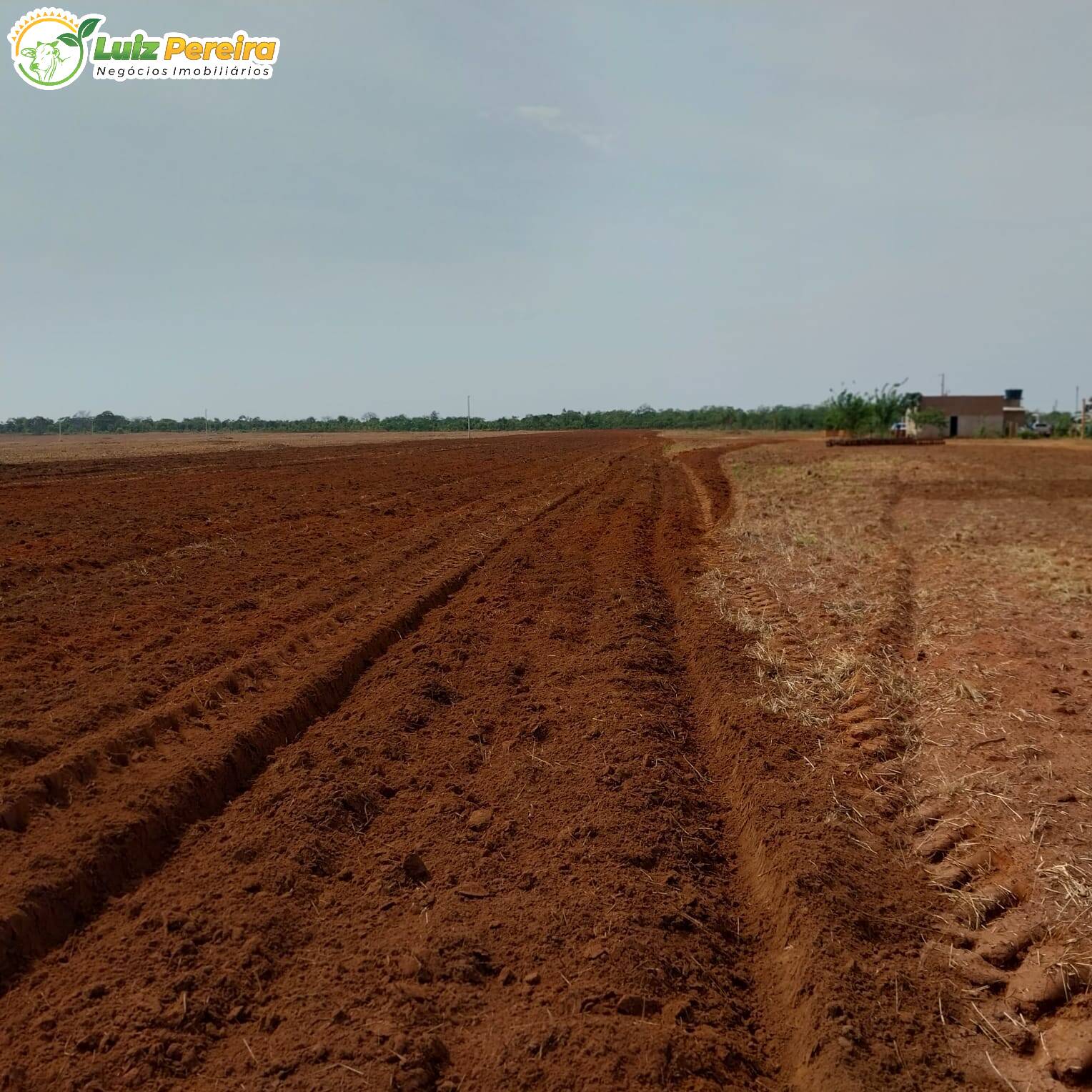 Terreno, 5076 m² - Foto 6