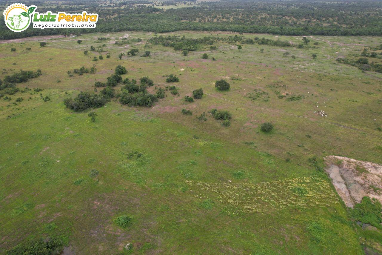 Terreno, 2604 m² - Foto 18