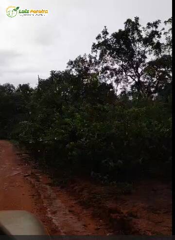 Terreno - Foto 2
