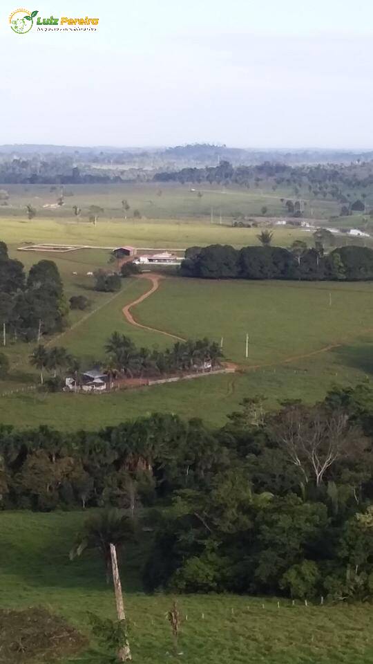 Terreno - Foto 4