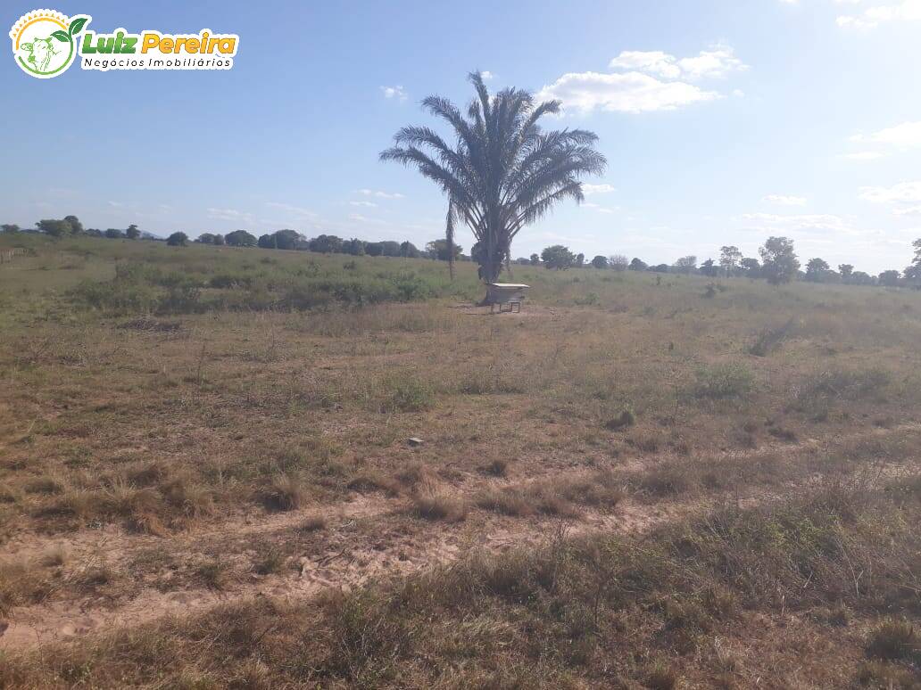 Terreno, 2081 m² - Foto 7
