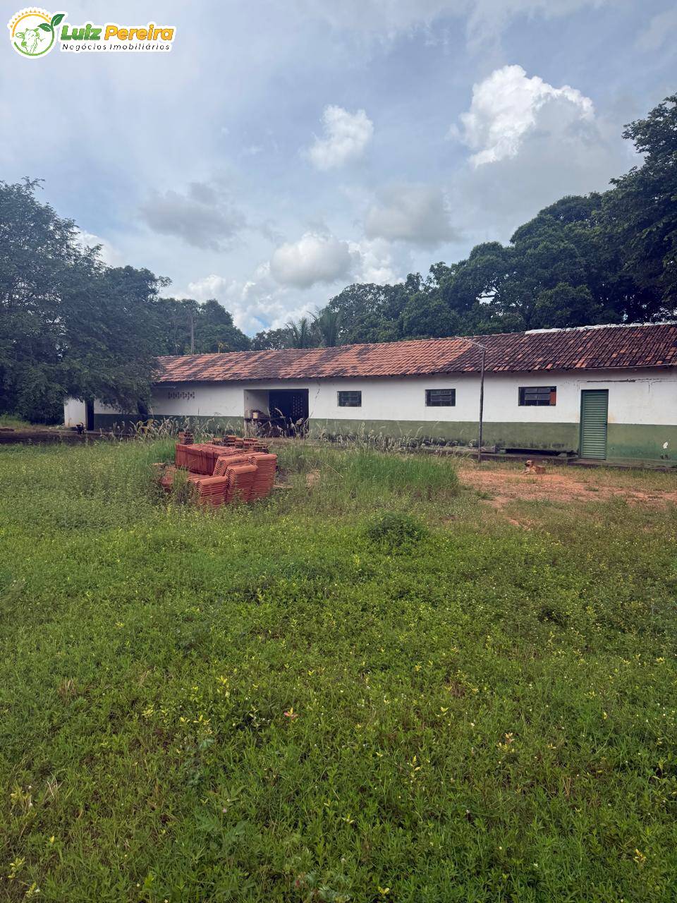 Terreno, 1350 m² - Foto 4