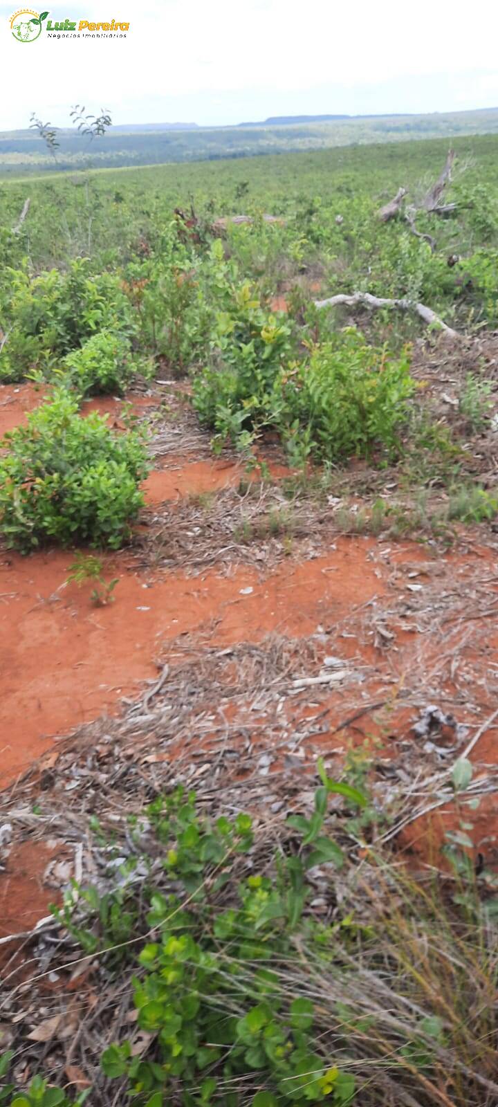 Terreno, 2 hectares - Foto 10