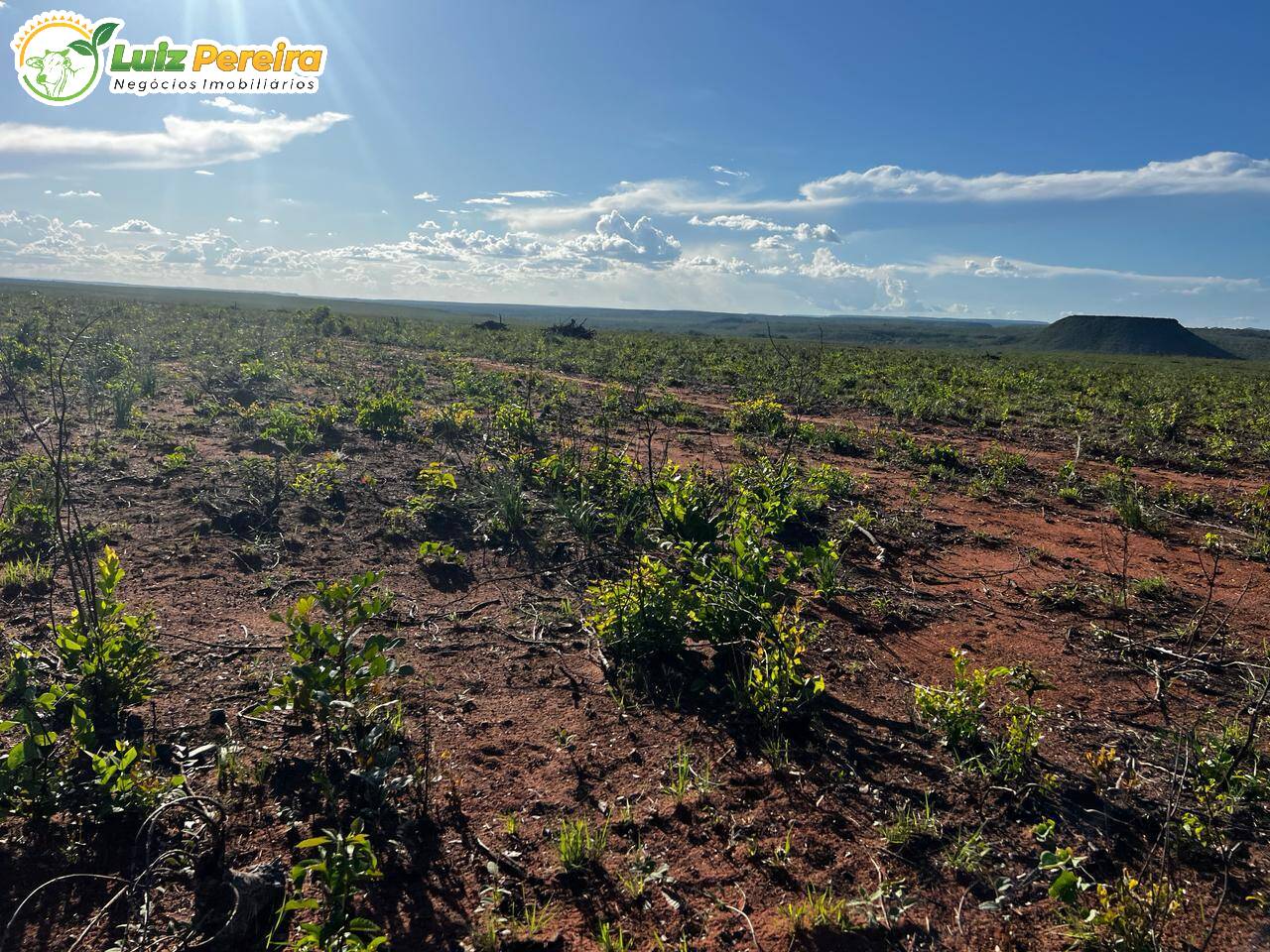 Terreno, 2 hectares - Foto 17
