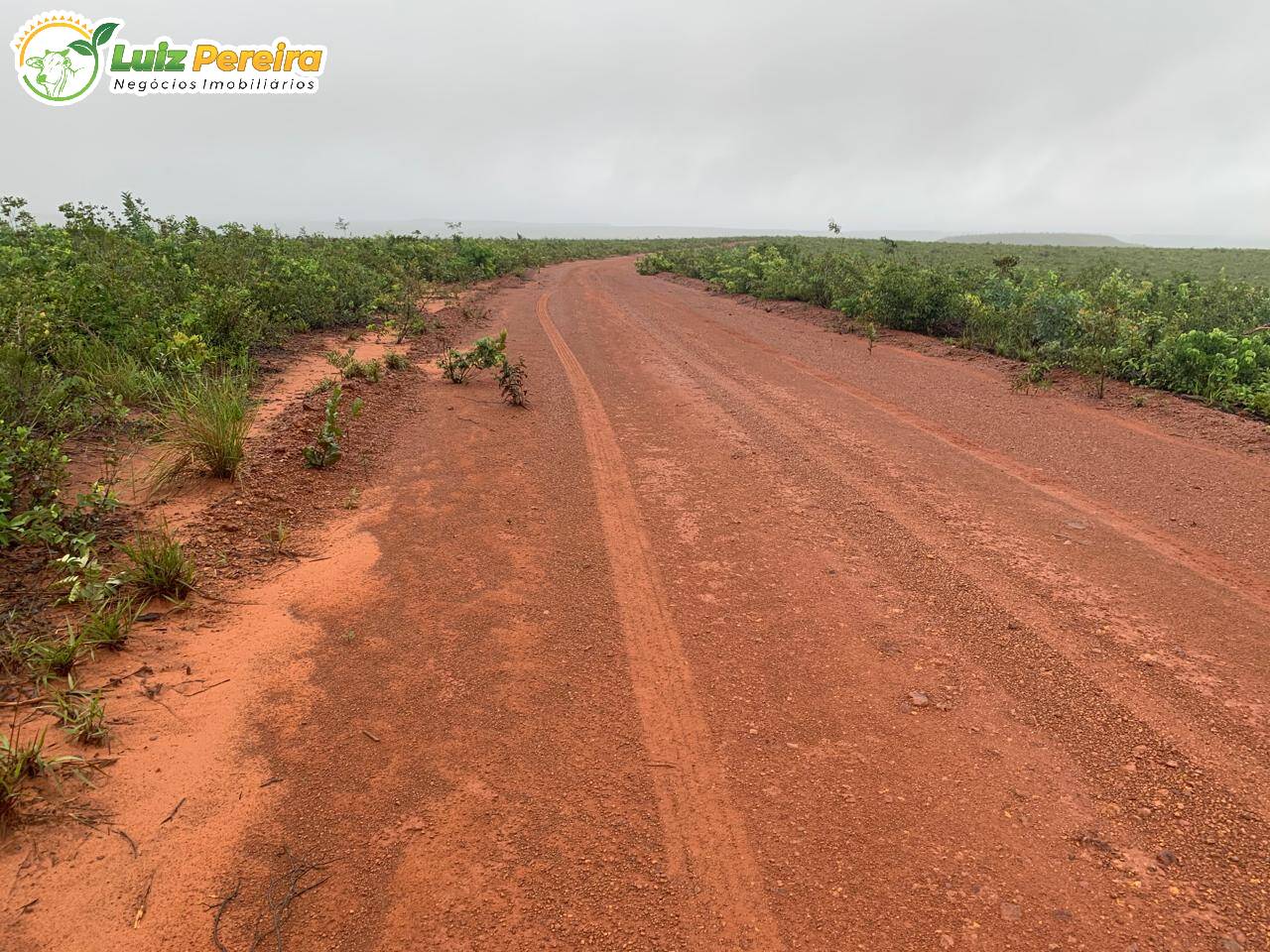 Terreno, 2 hectares - Foto 12