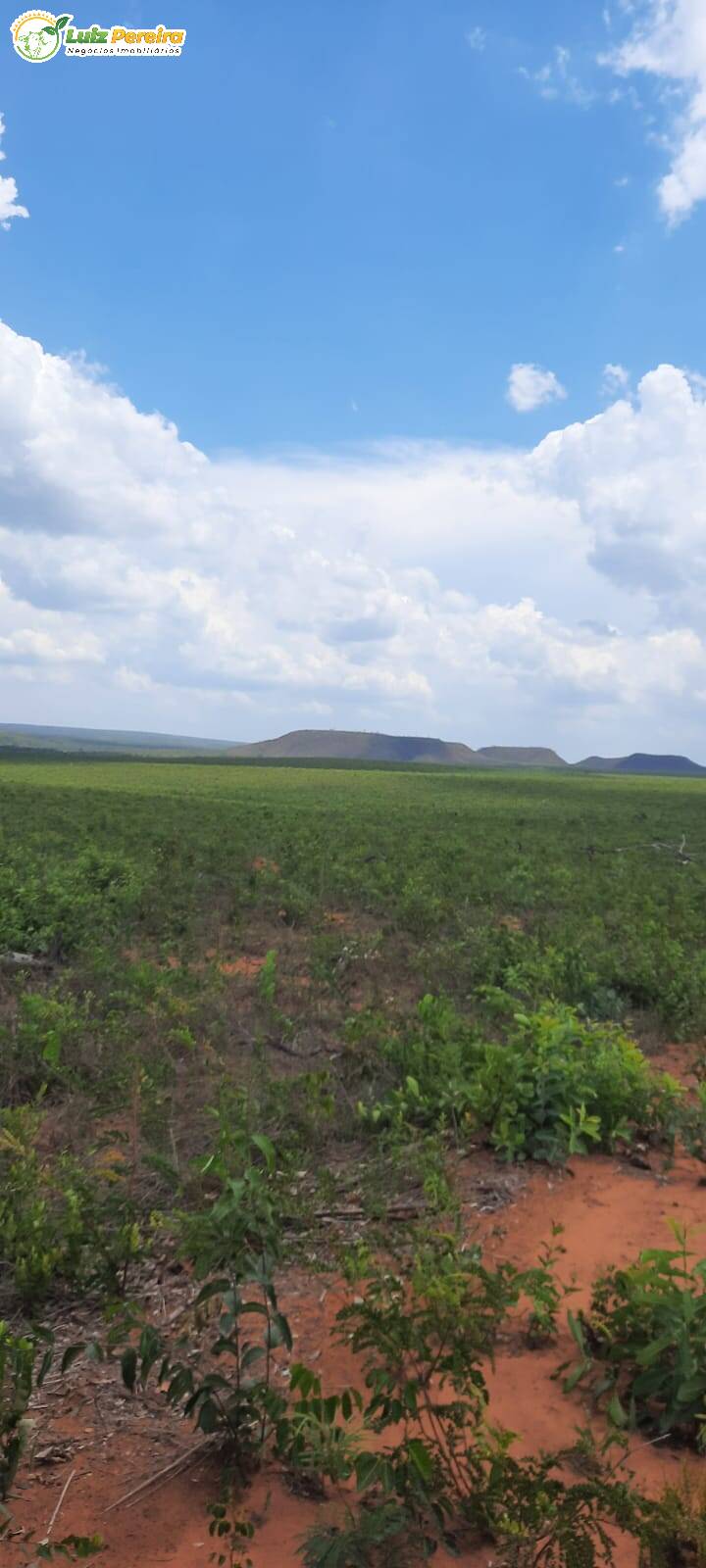 Terreno, 2 hectares - Foto 4