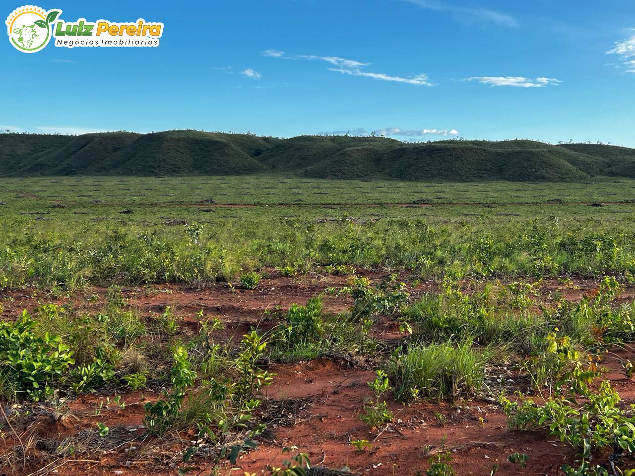 Terreno, 2 hectares - Foto 6