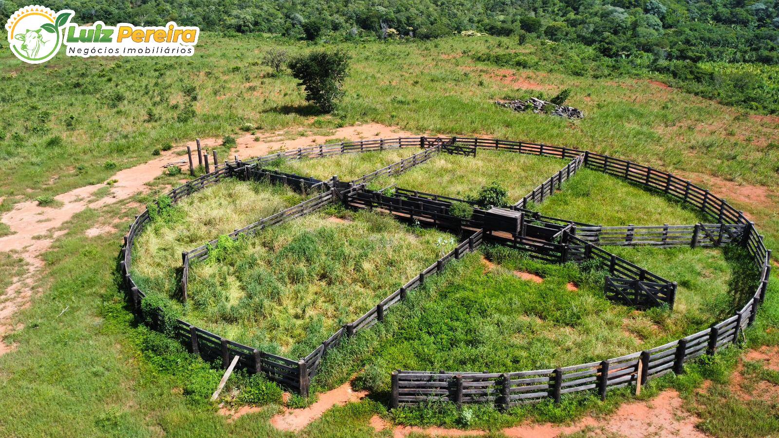 Terreno, 2 hectares - Foto 1