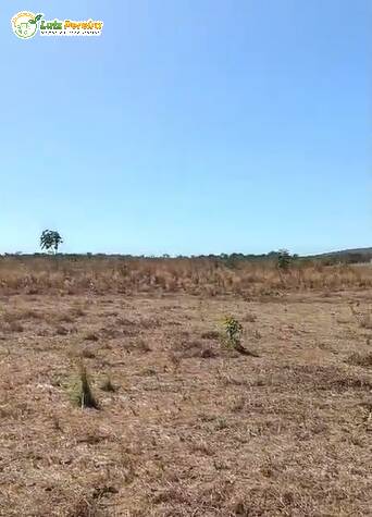 Terreno, 522 m² - Foto 6