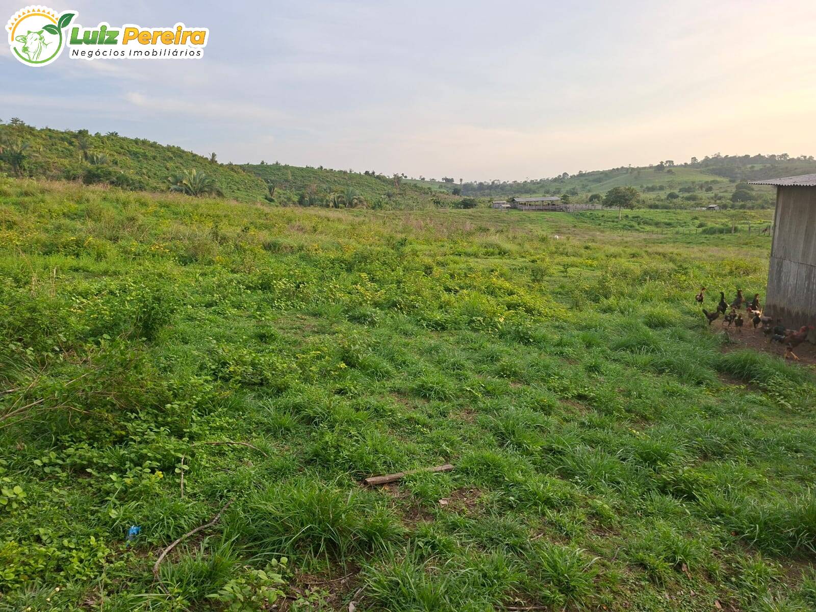 Terreno, 227 m² - Foto 12