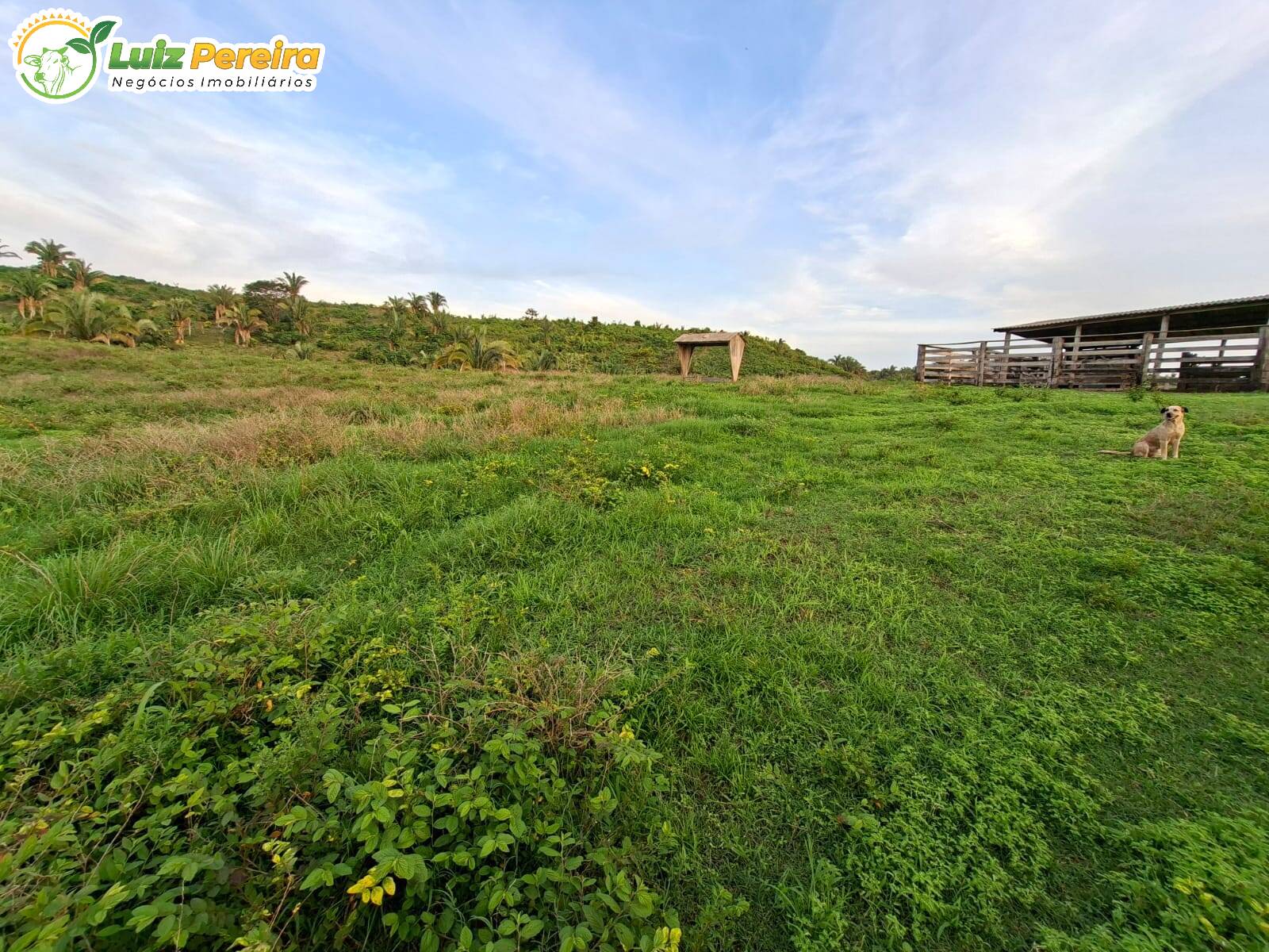 Terreno, 227 m² - Foto 5