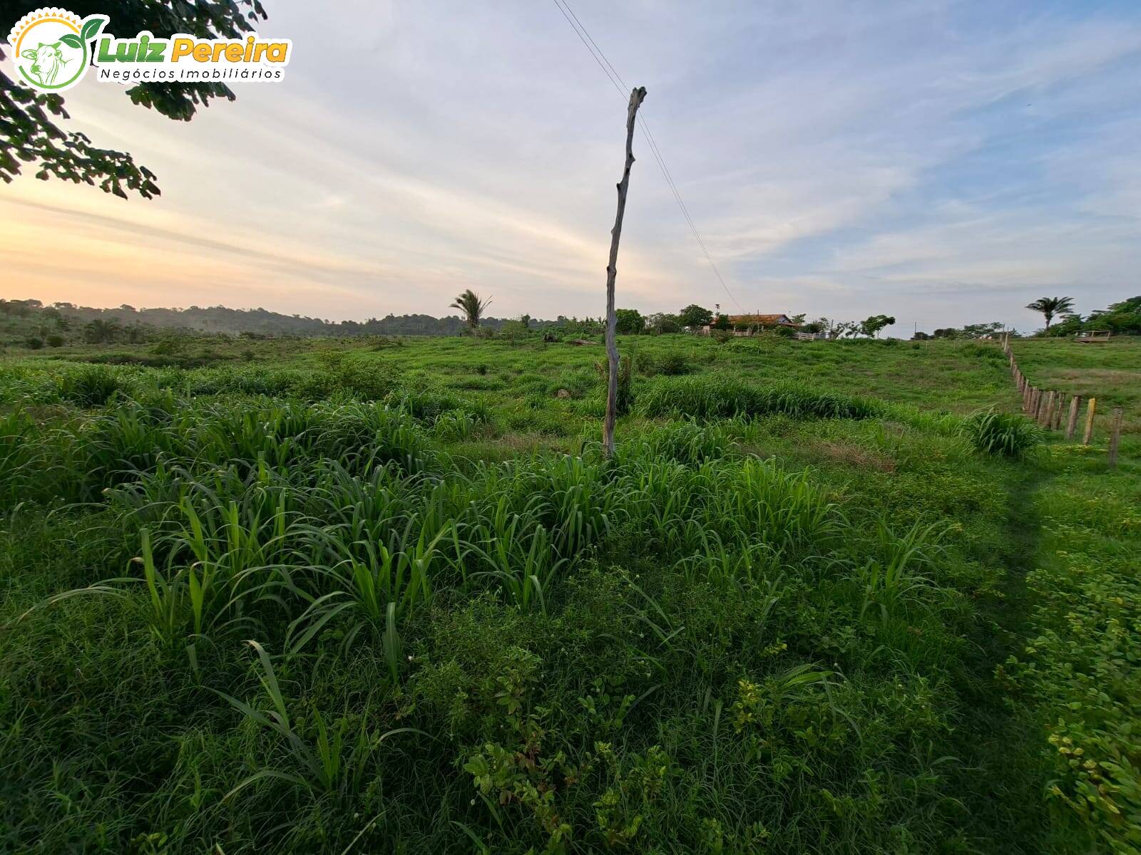 Terreno, 227 m² - Foto 4