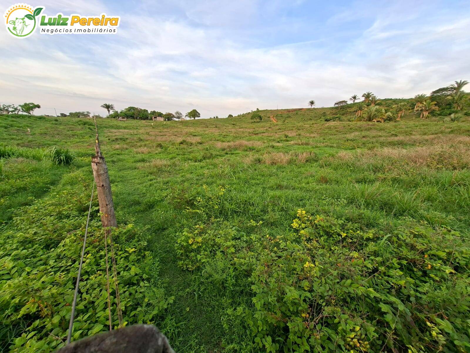 Terreno, 227 m² - Foto 1