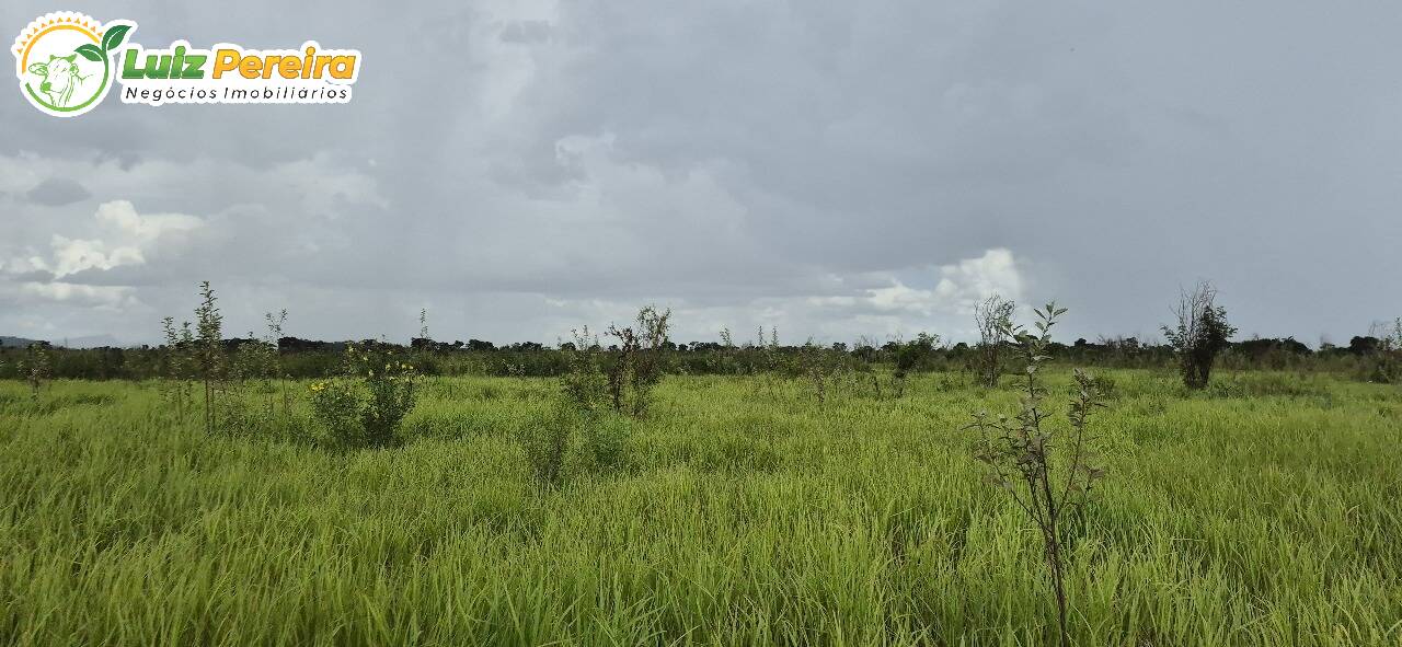 Terreno, 3500 m² - Foto 4