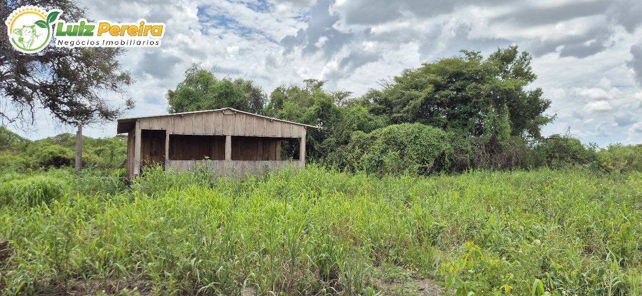 Terreno, 3500 m² - Foto 13