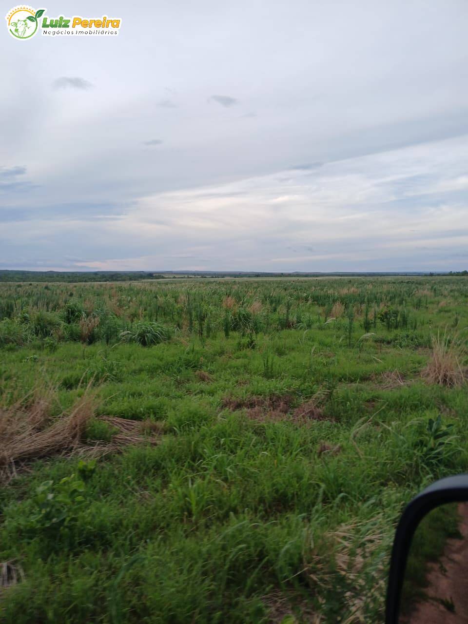 Terreno, 2500 m² - Foto 2