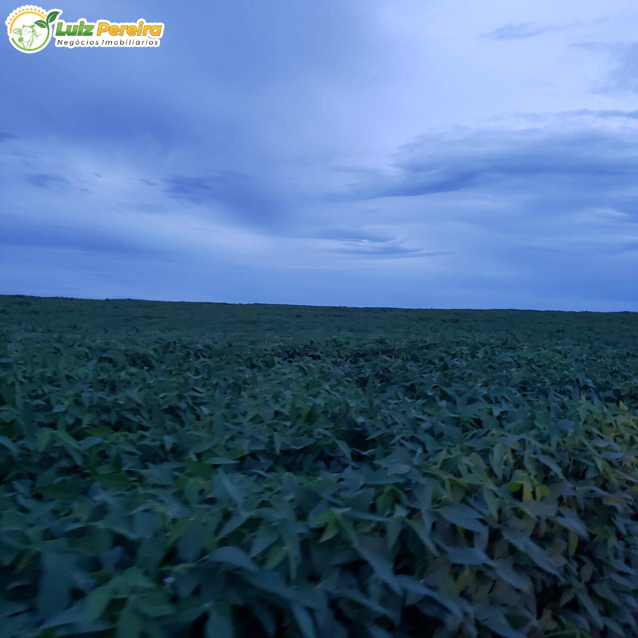 Terreno, 2500 m² - Foto 3