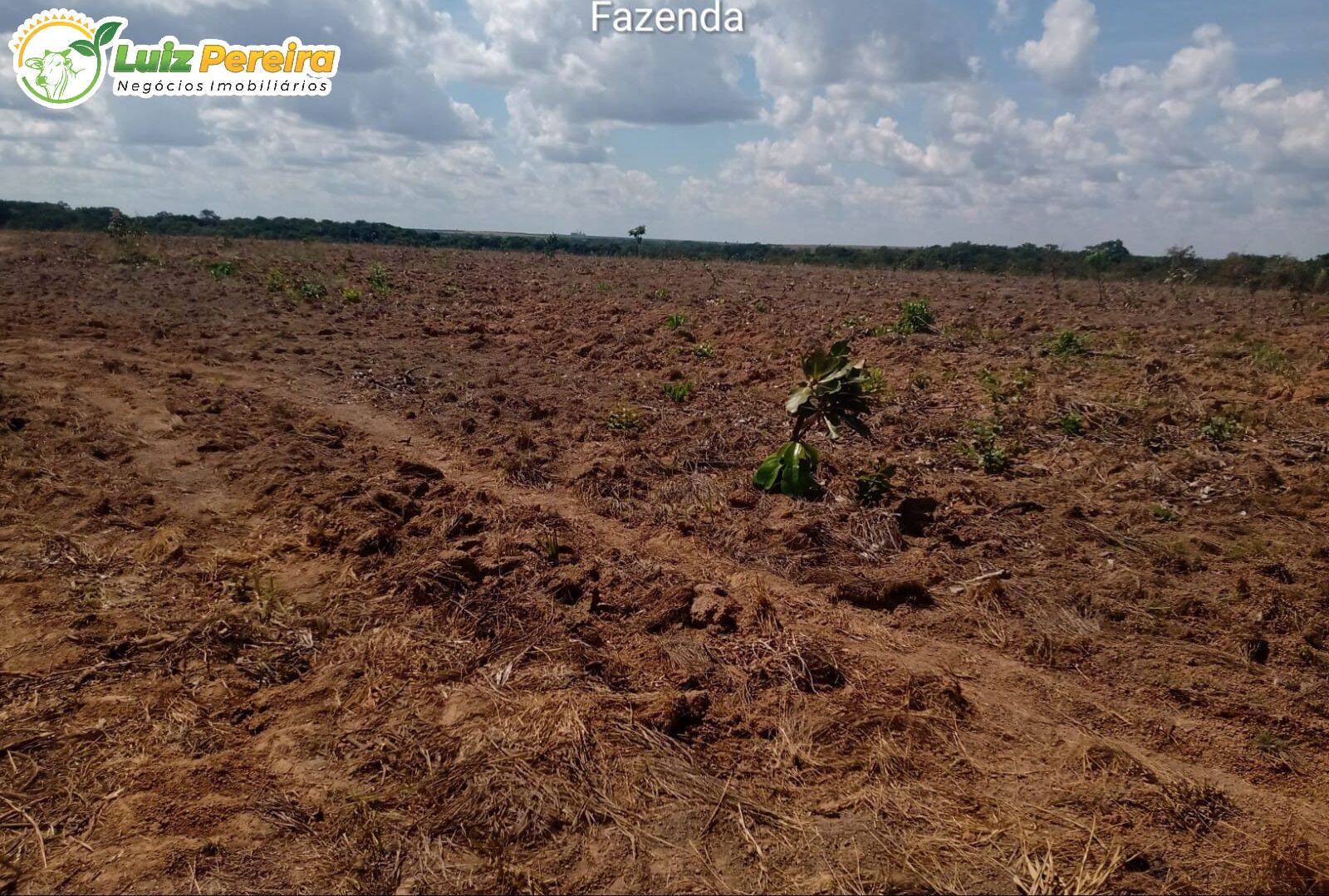 Terreno, 2500 m² - Foto 21
