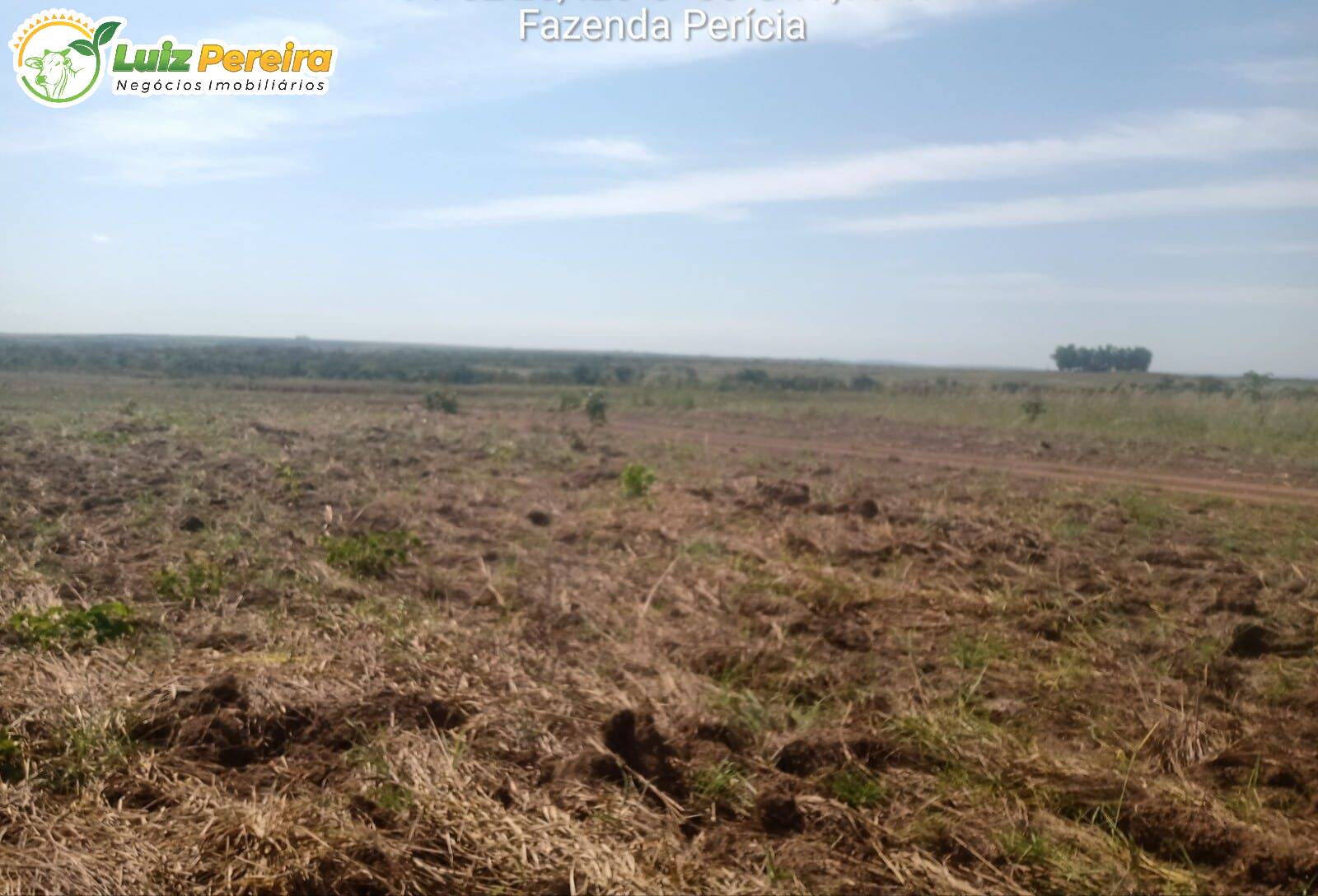 Terreno, 2500 m² - Foto 18