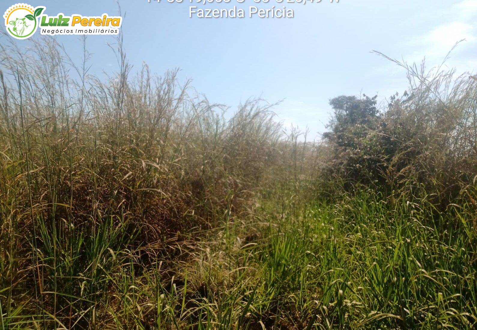 Terreno, 2500 m² - Foto 7