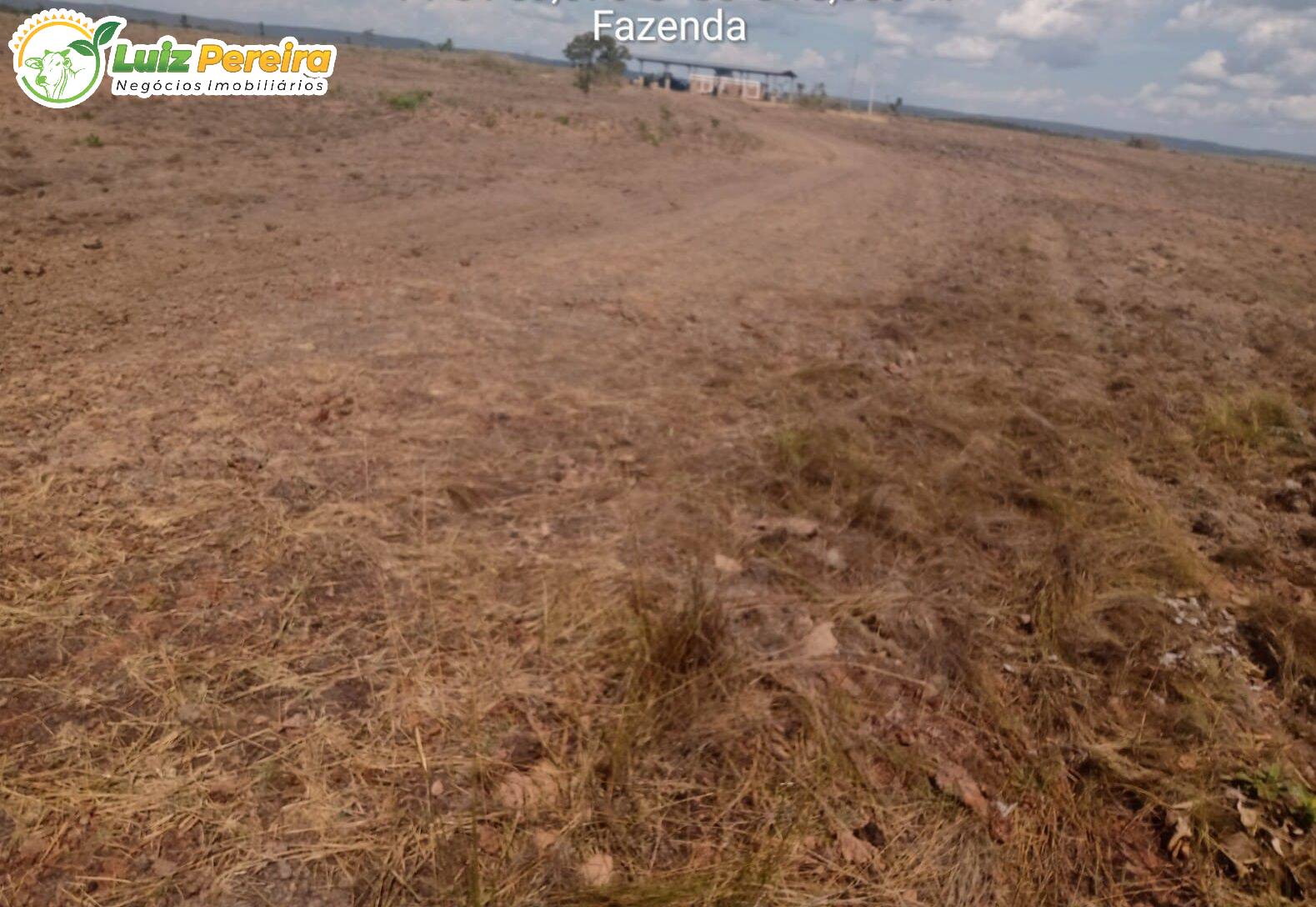 Terreno - Foto 10
