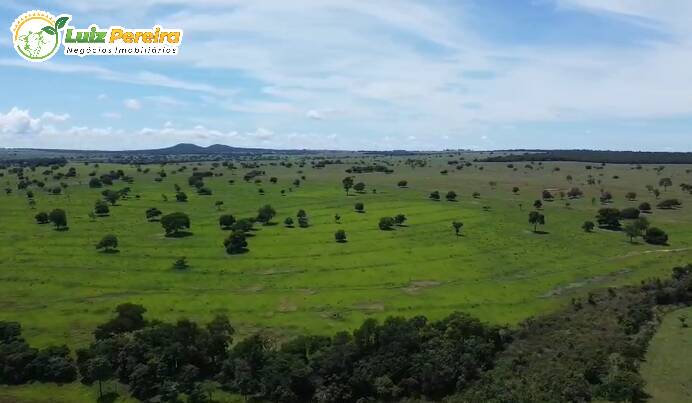 Terreno, 4000 m² - Foto 4