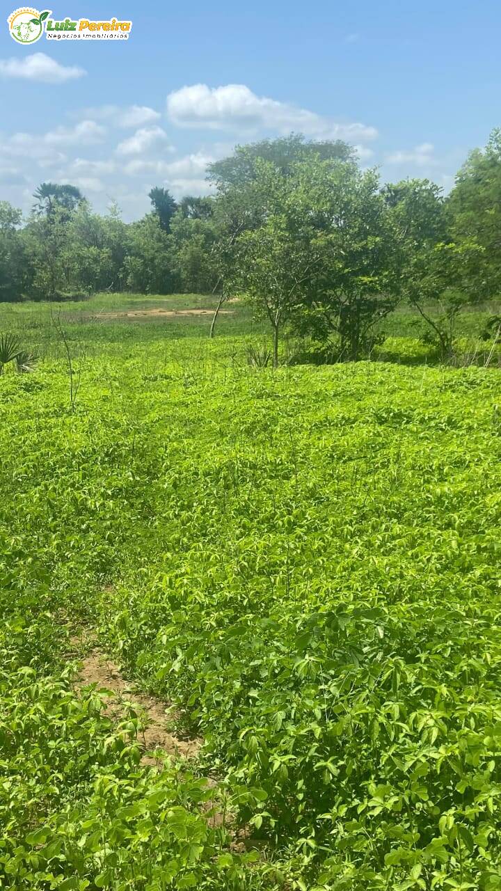 Terreno, 1200 m² - Foto 1