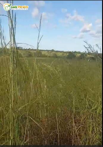 Terreno, 998 m² - Foto 7