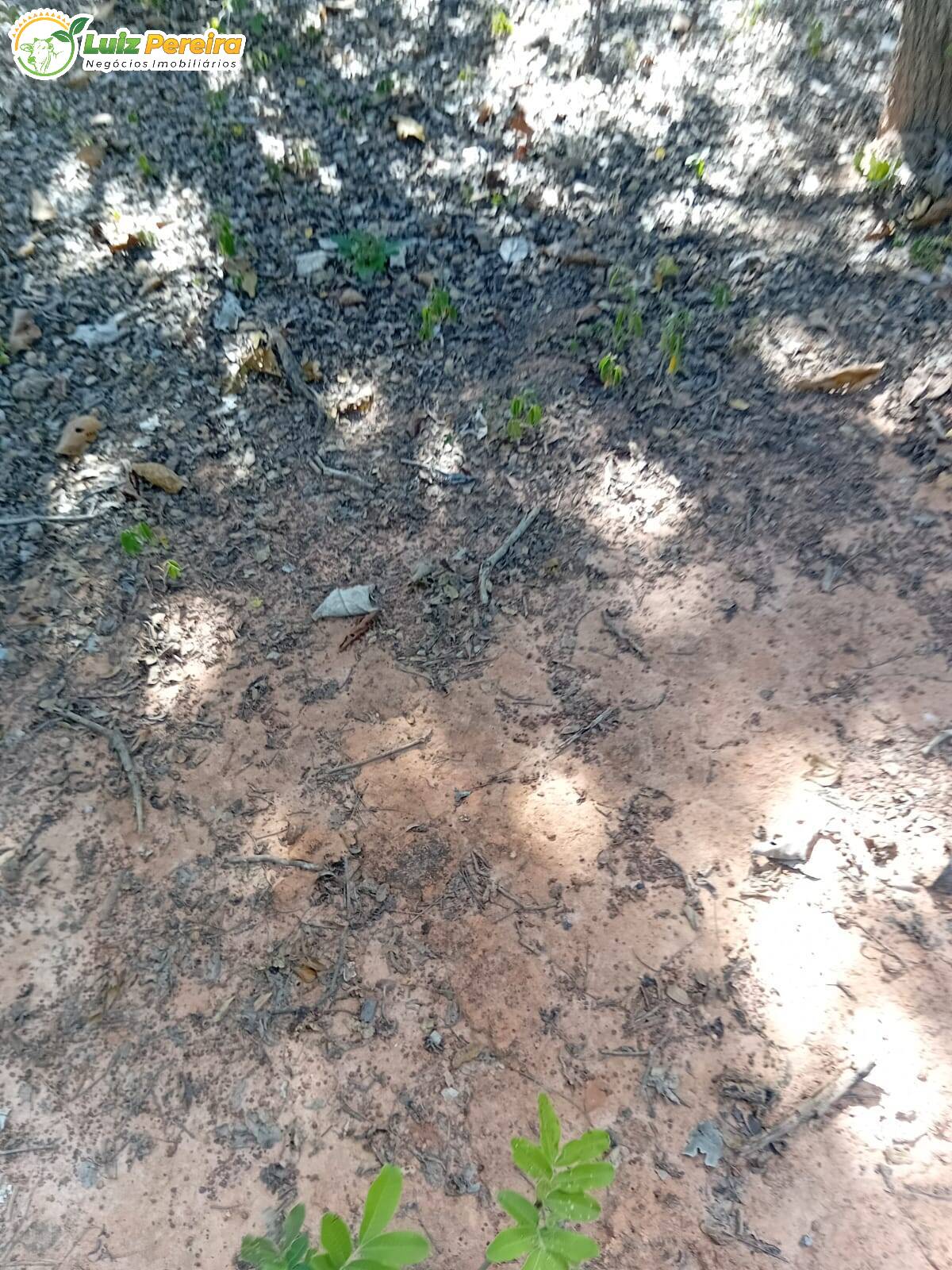 Terreno, 960 m² - Foto 7