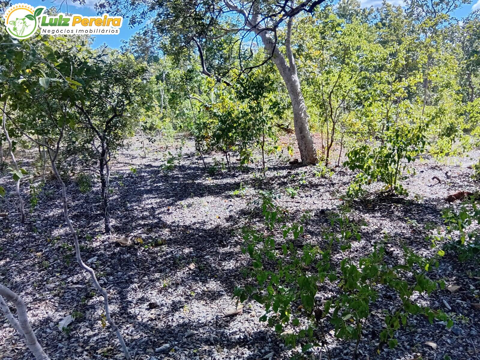 Terreno, 960 m² - Foto 4