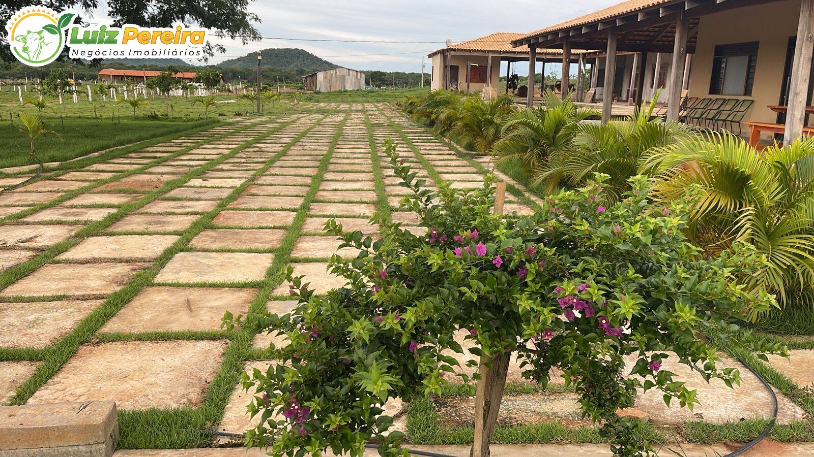 Terreno, 5000 m² - Foto 5