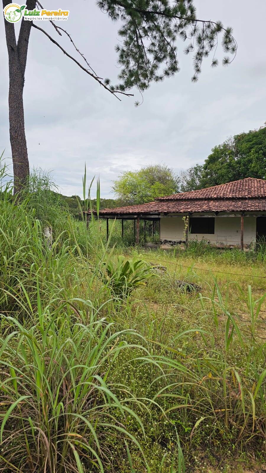 Terreno, 1490 m² - Foto 8