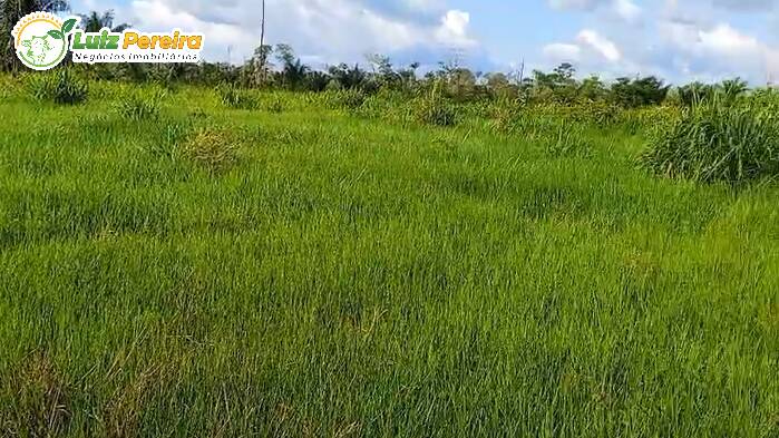 Terreno, 968 m² - Foto 6